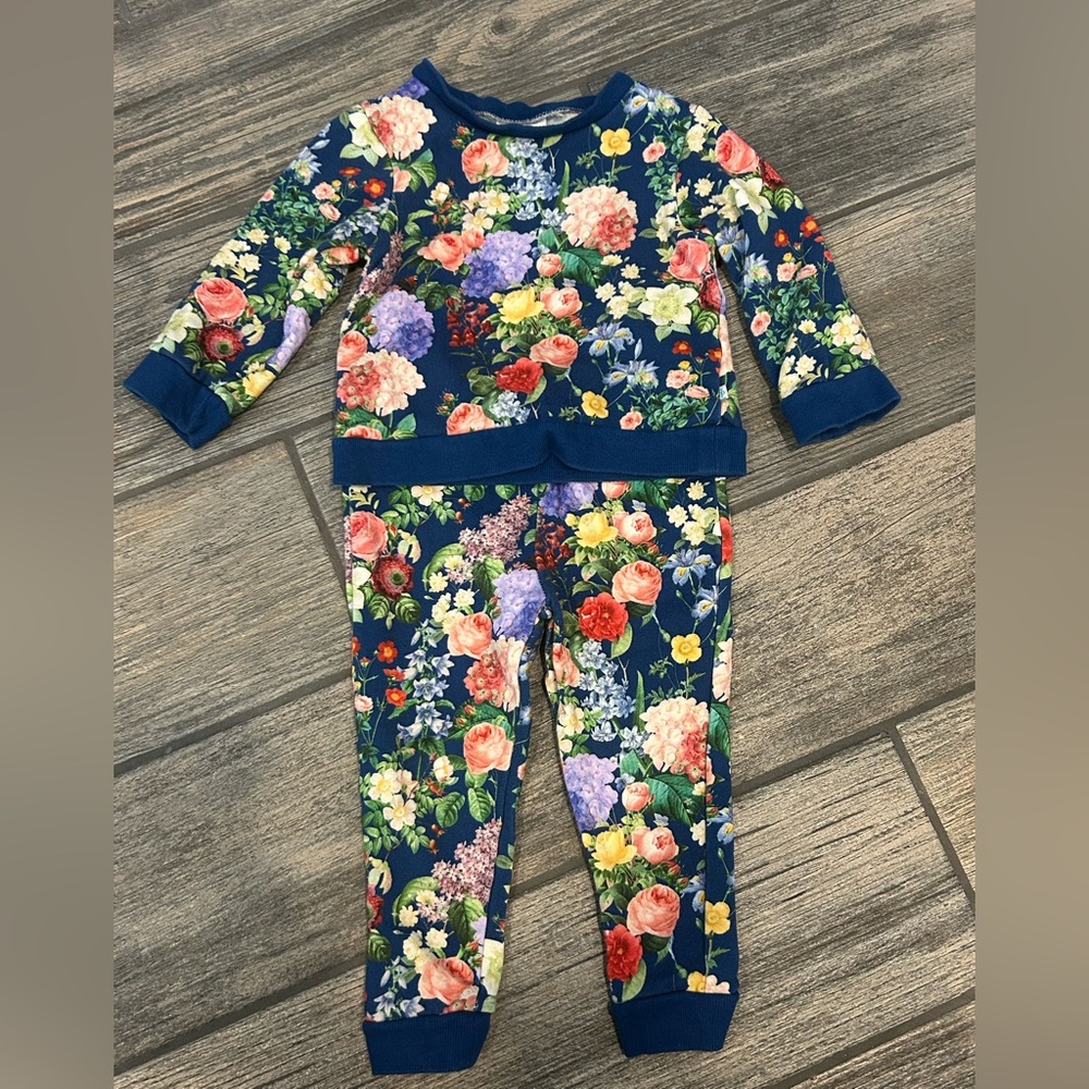 Posh Peanut Sweatshirt and Sweatpants Set